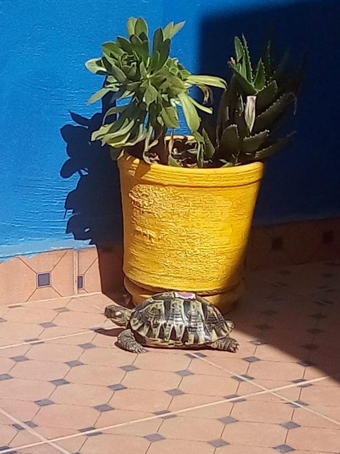 Riad Zinnha Marrakesh Luaran gambar